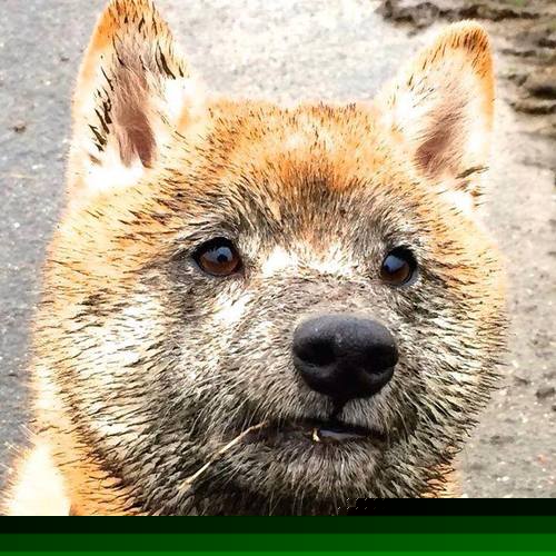 F1新赛季揭幕战之夜，当赛道亮起卡塞米罗时刻