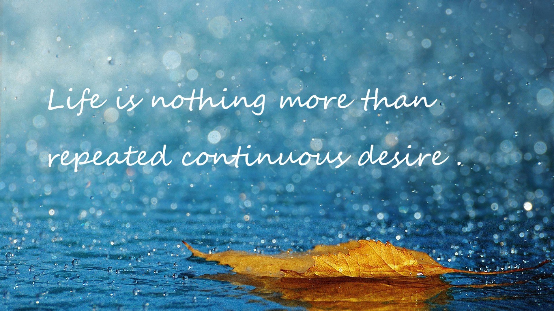 跨越边界的弧线，美加墨世界杯之夜，库里如何用篮球定义新大陆