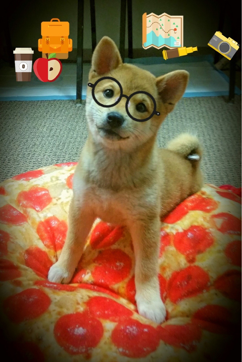 阿森纳强势晋级,斯通斯关键先生光芒难掩失利之痛