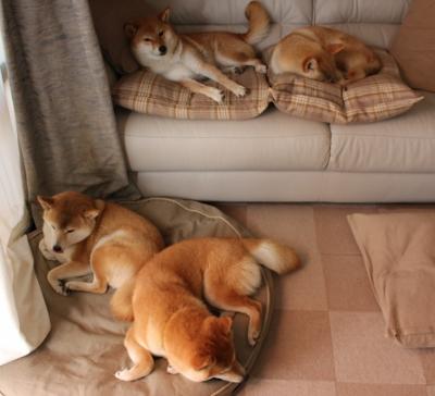 F1街道赛之夜，德布劳内惊艳四座的跨界传奇