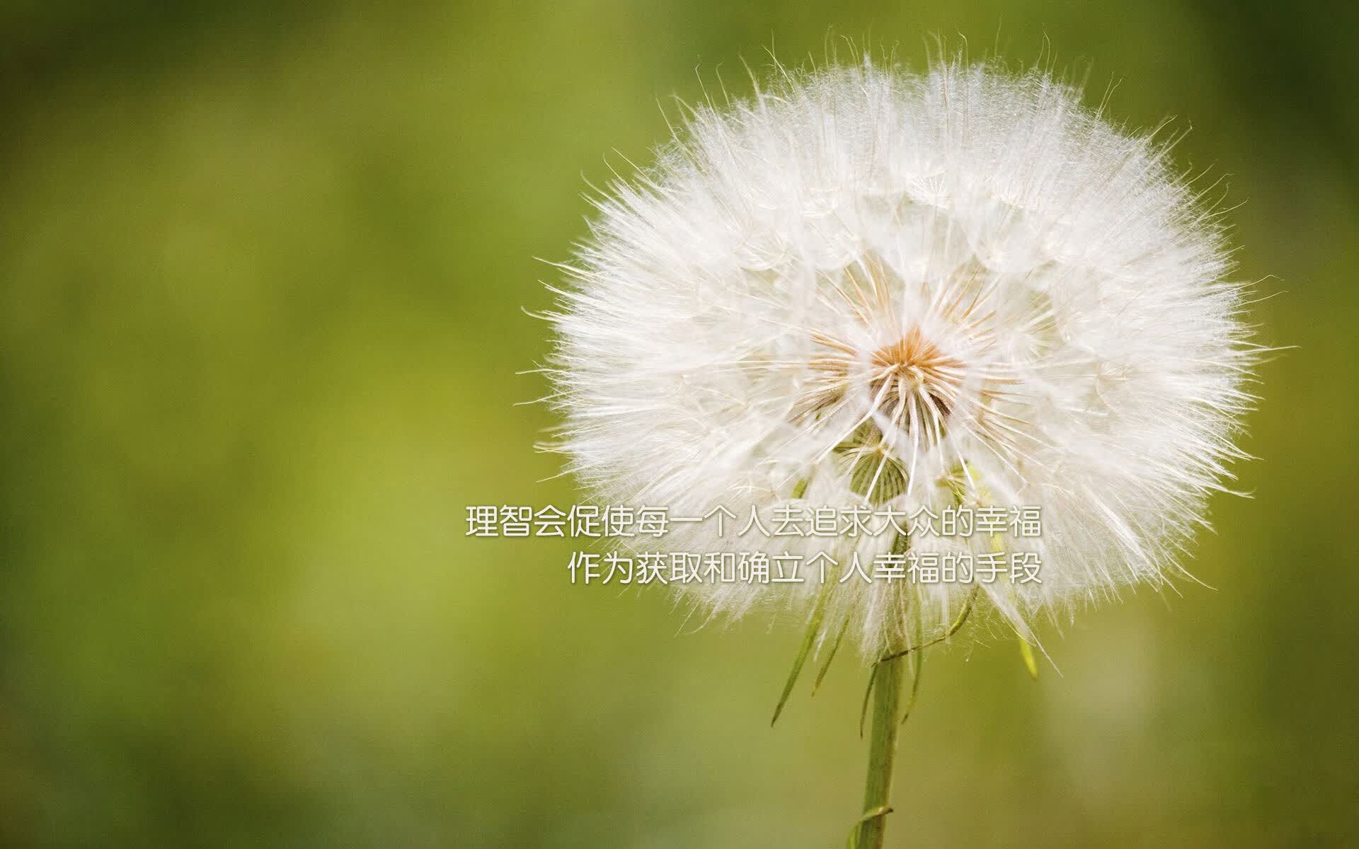 迪亚斯一锤定音,伊朗顽强逼平匈牙利,2026世界杯C组格局再生变数